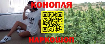 трава Комсомольск-на-Амуре